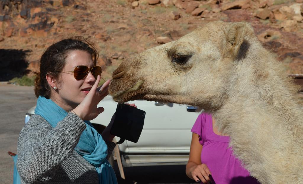 Black Irish Camp And Tours Wadi Rum Buitenkant foto
